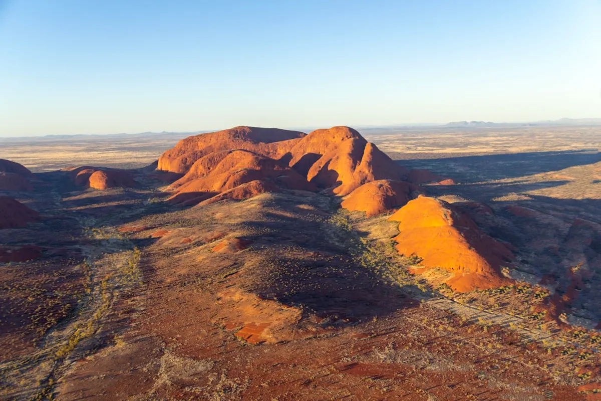 The Miracle of the First Fleet Seeds